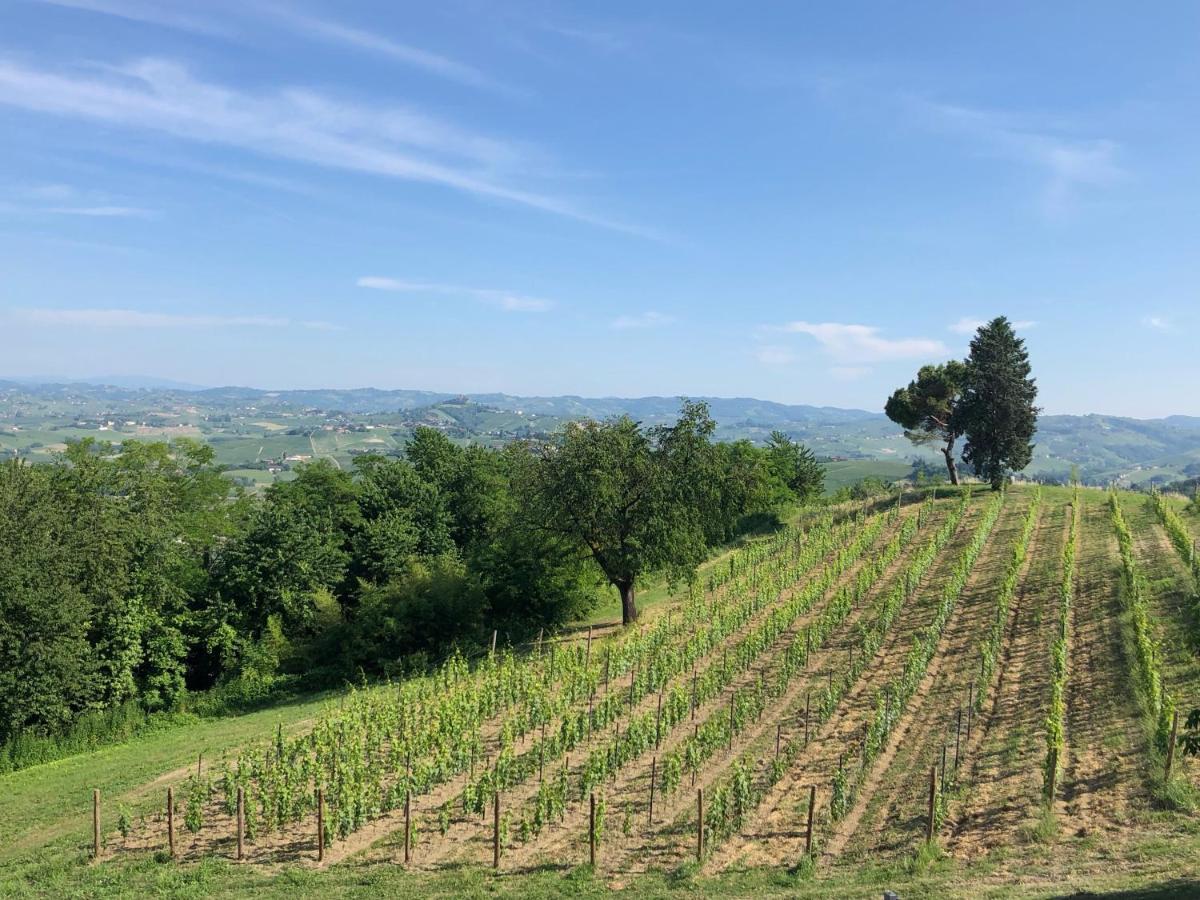 Cascina San Michele Bed and Breakfast Costigliole d'Asti Exterior foto