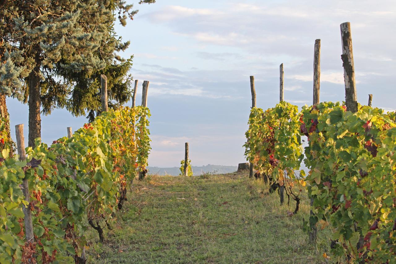 Cascina San Michele Bed and Breakfast Costigliole d'Asti Exterior foto